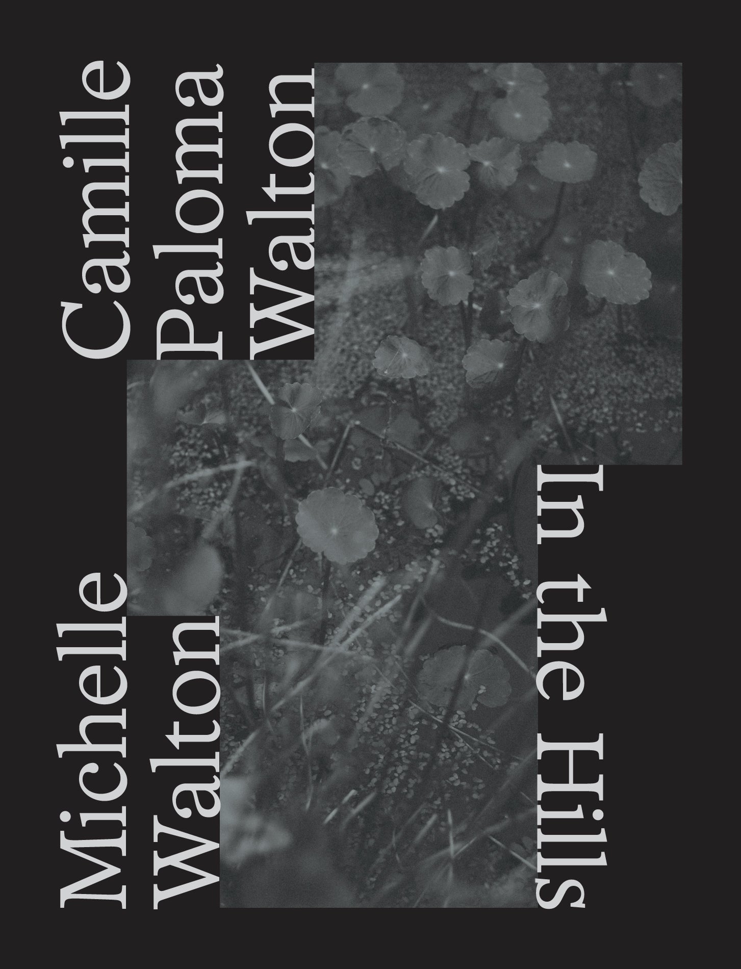 In The Hills by Camille Paloma Walton & Michelle Walton
