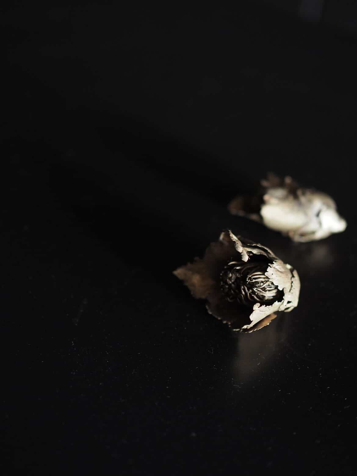 Tsubaki - Bronze (set of two)