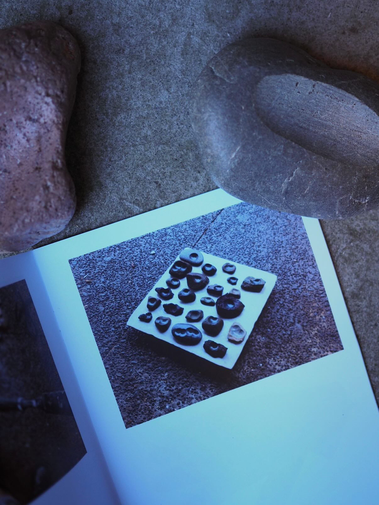 Book 'Stone dishes' by Matan Fadida
