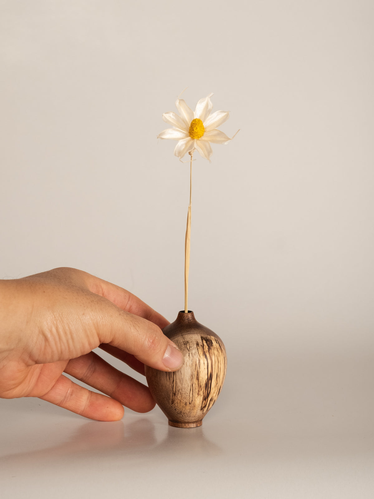 Bud vase (pod), Dry V1