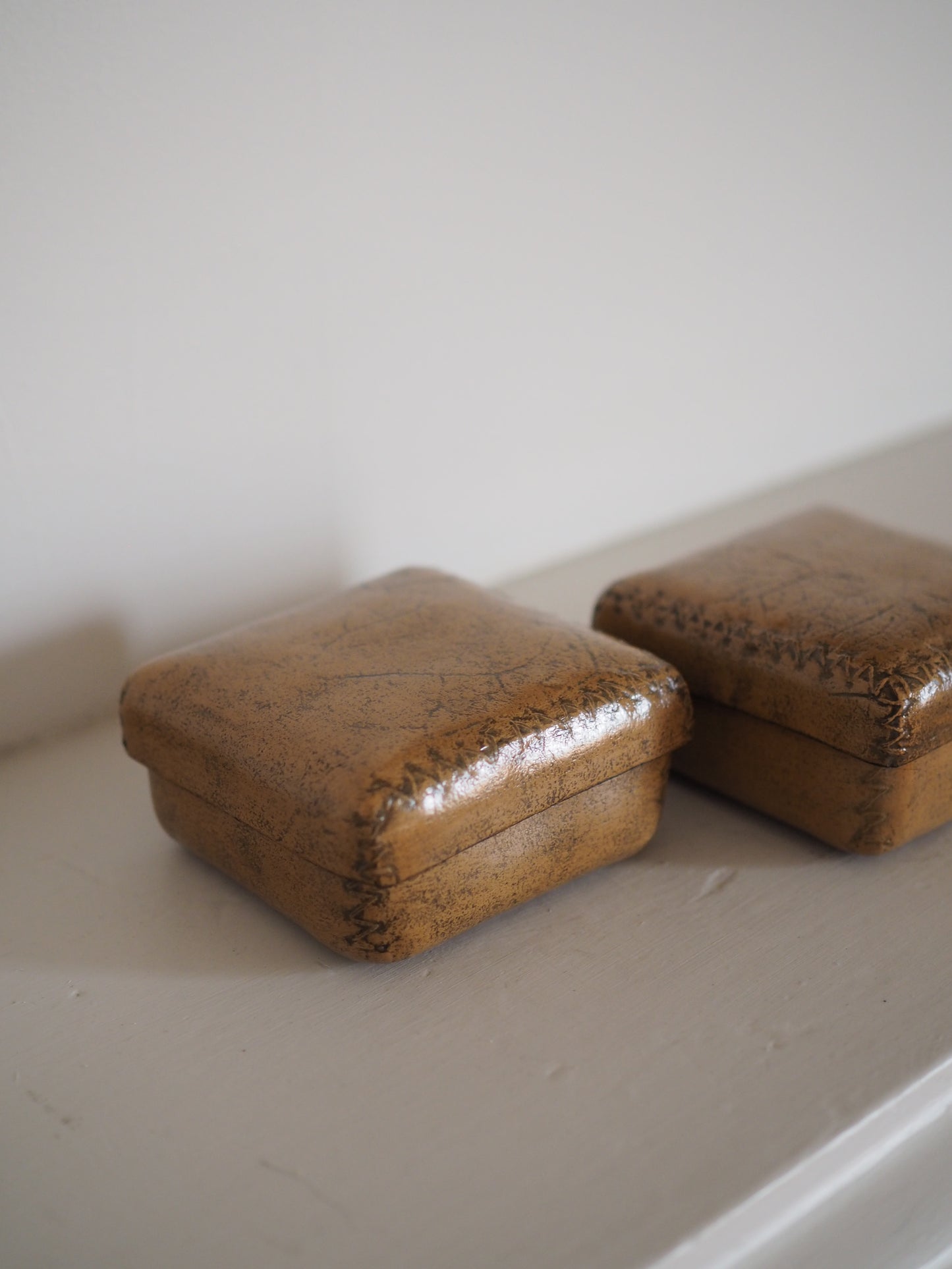 Leather canister ver.4, ver.5