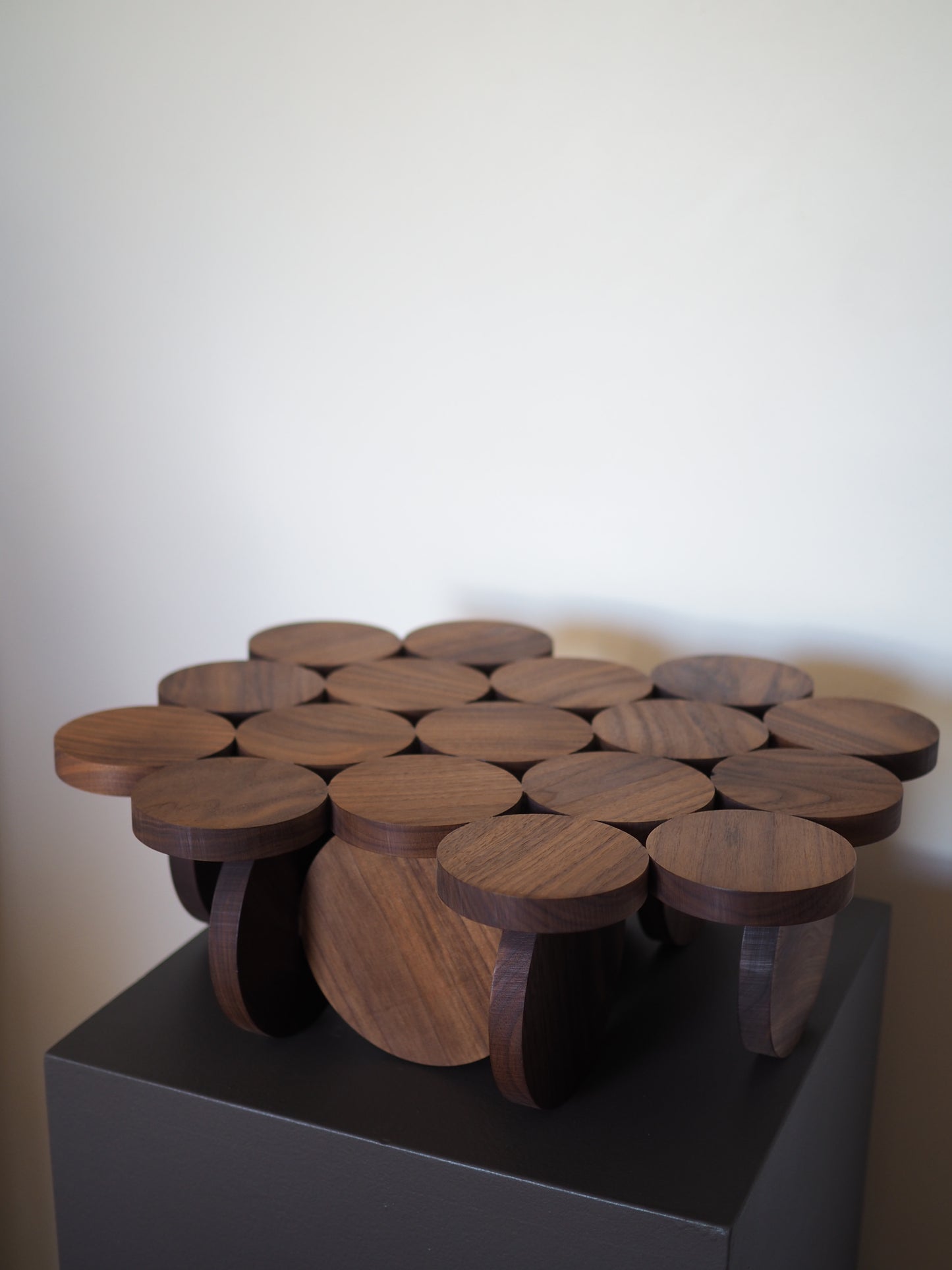 Emergent Form xi