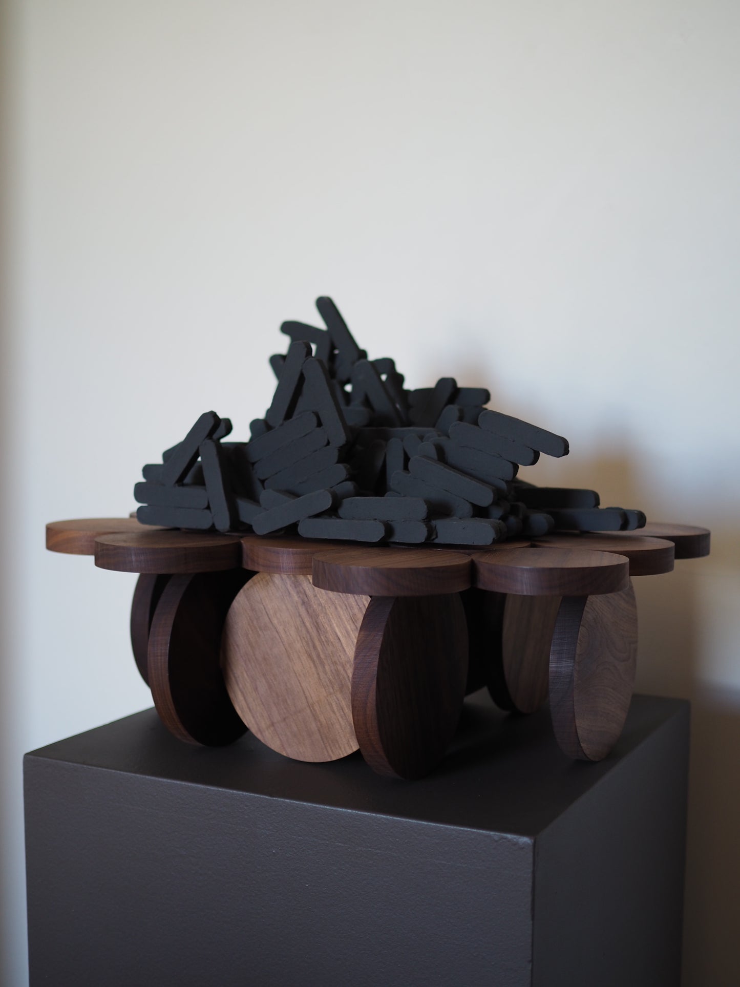 Emergent Form xi