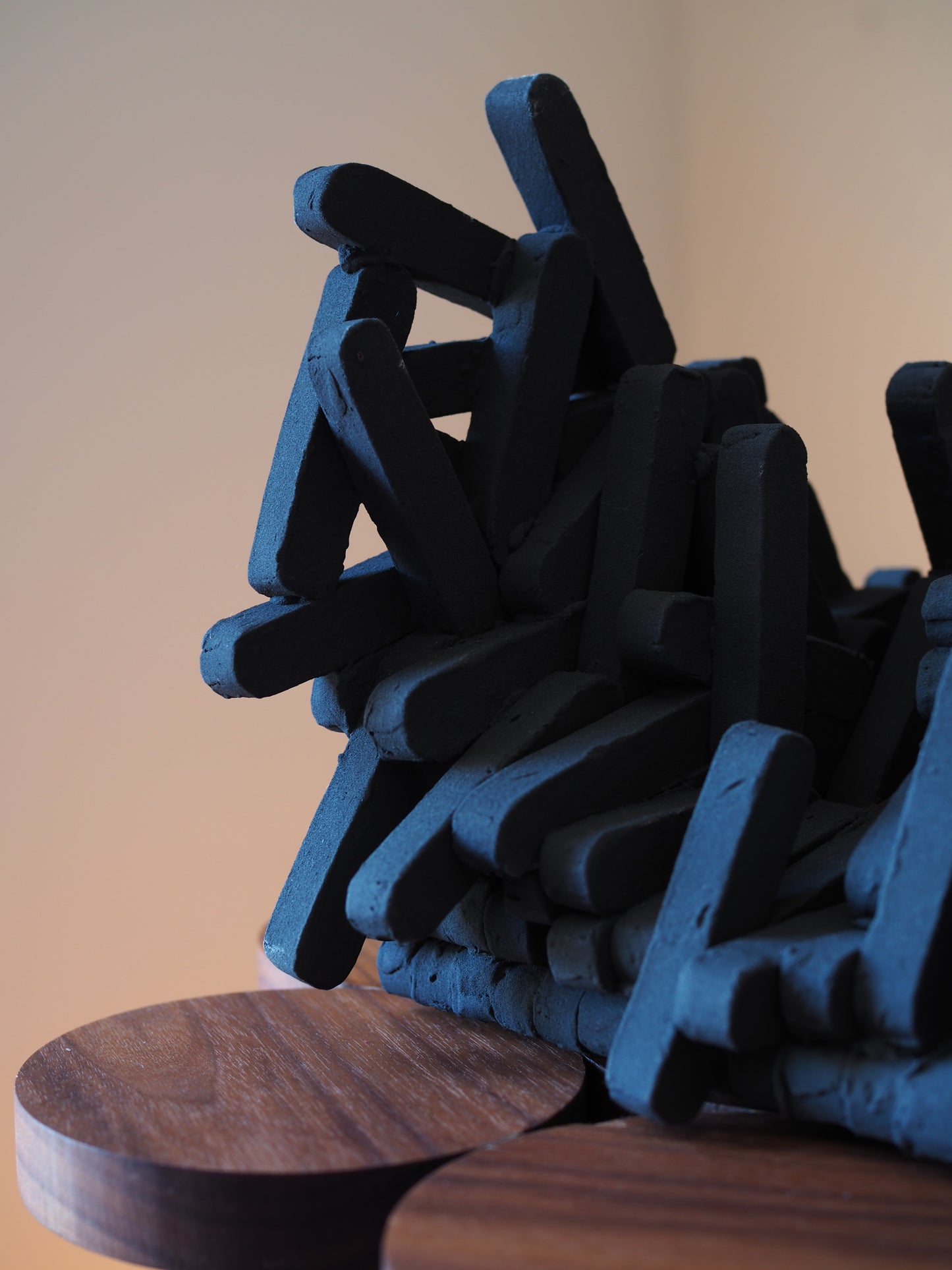 Emergent Form xi