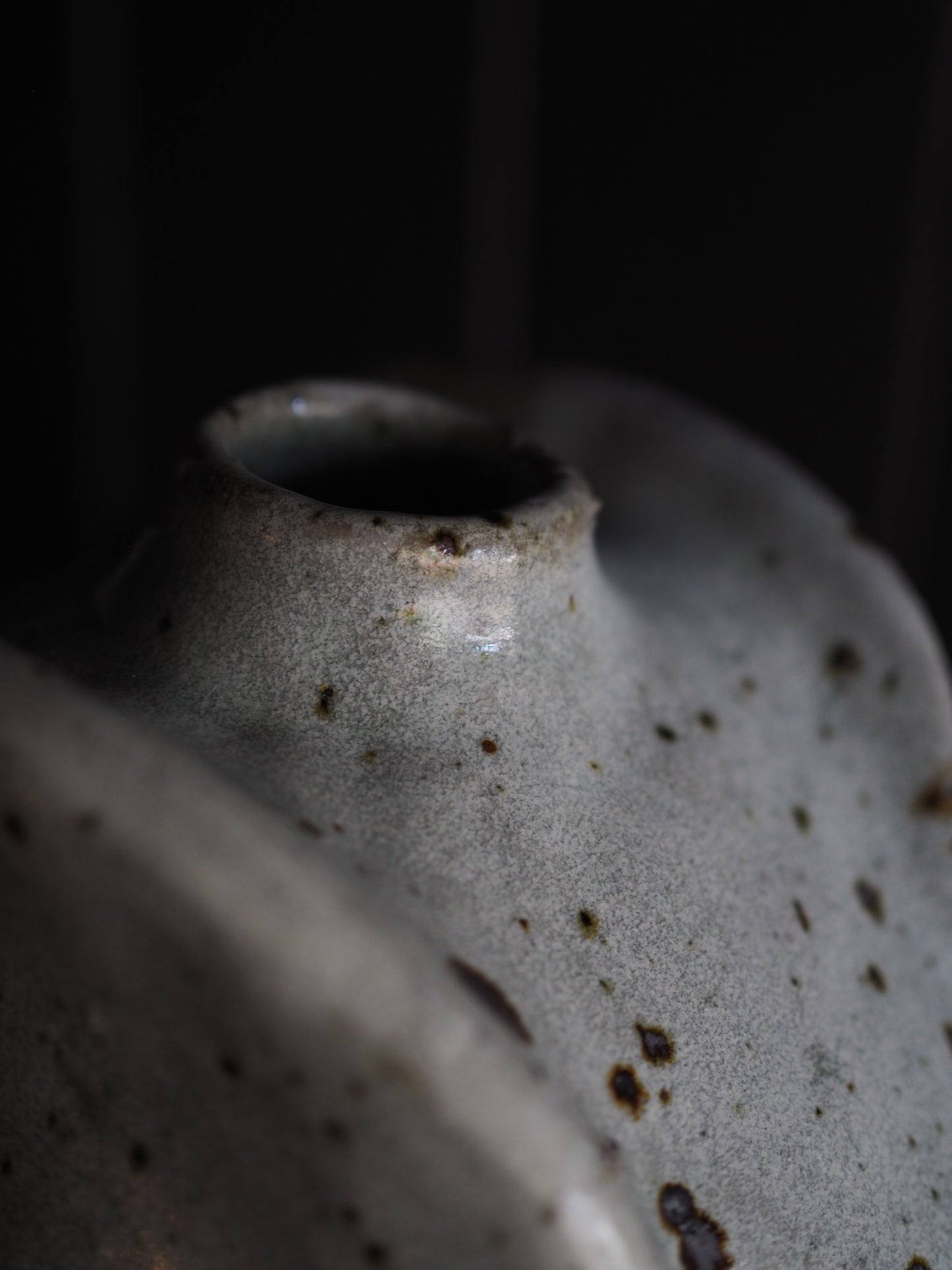 Birdy vase