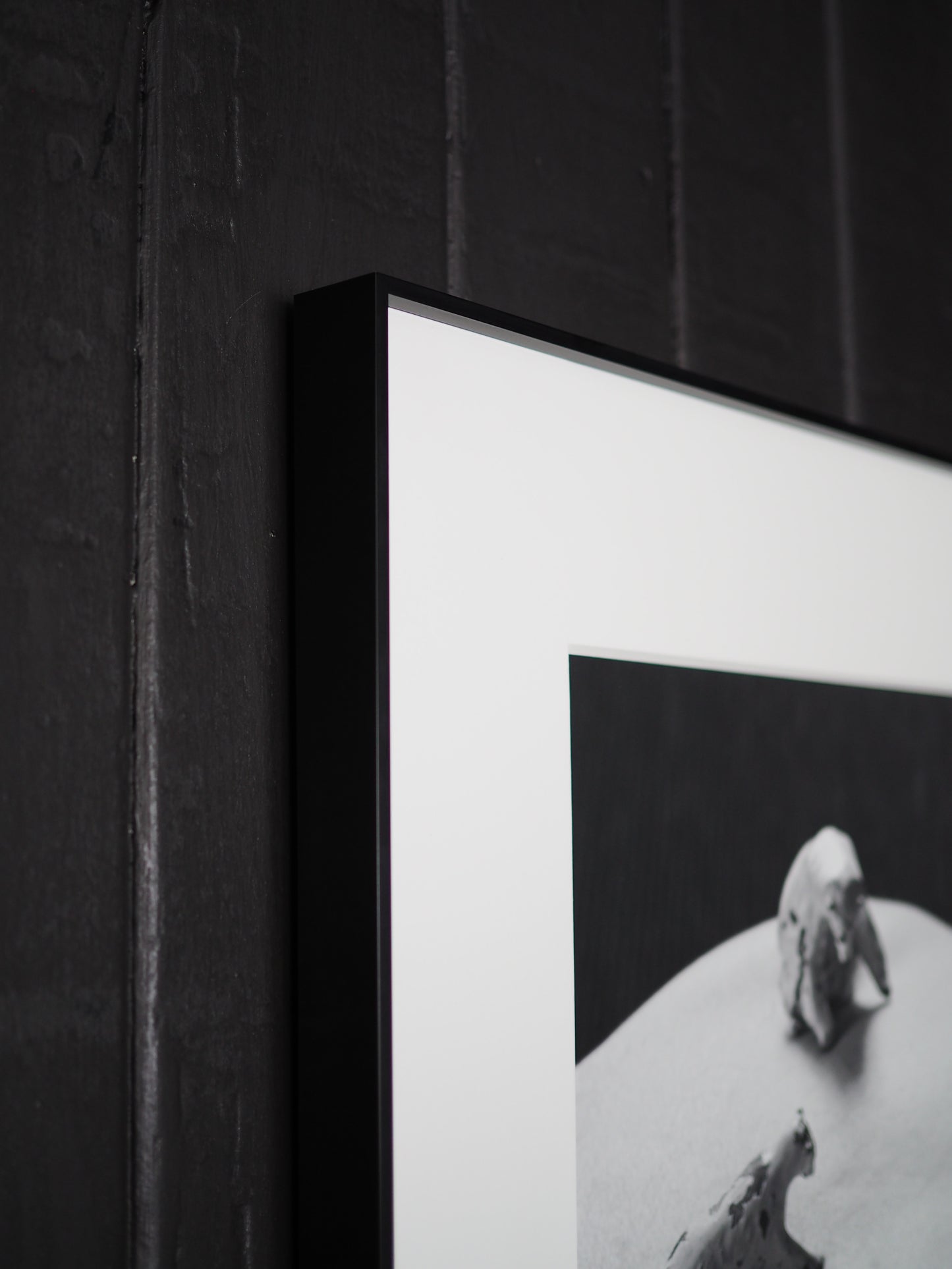 Benediction(she), 2025