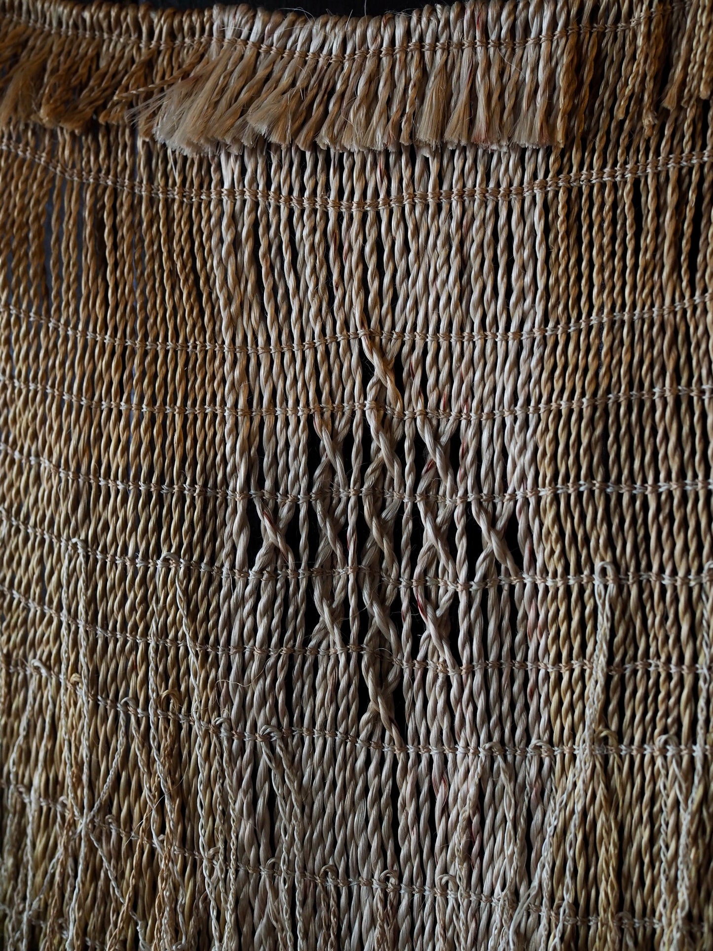 Tauira ver.3