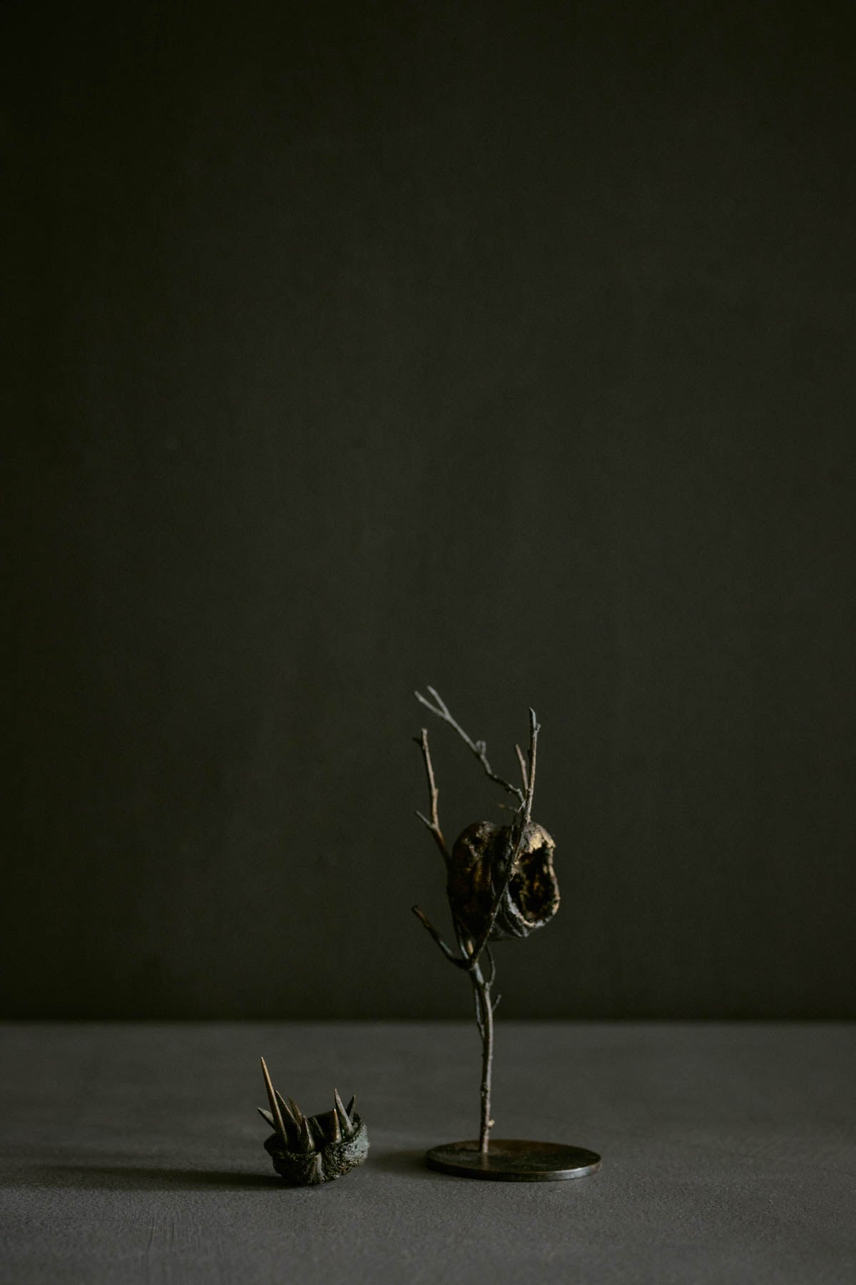 Moon Whisperer or Tiny Home