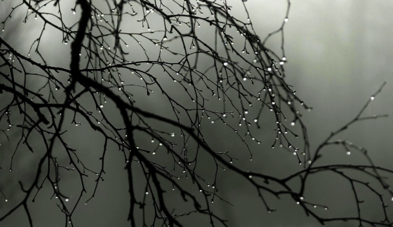 Hakudo Incense x Essence - New