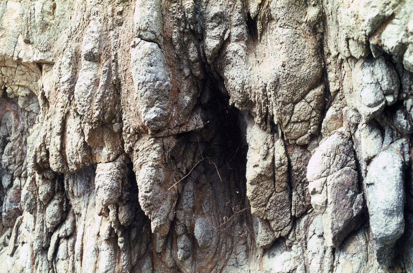 Backwards Forwards Dress