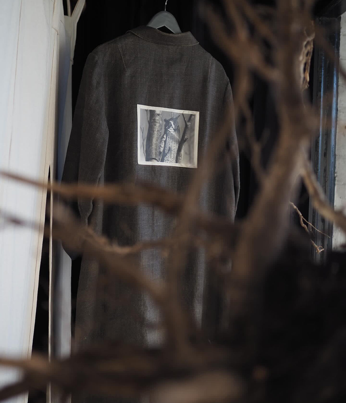 Deborah Smith - What the Trees Said - Gallery Image
