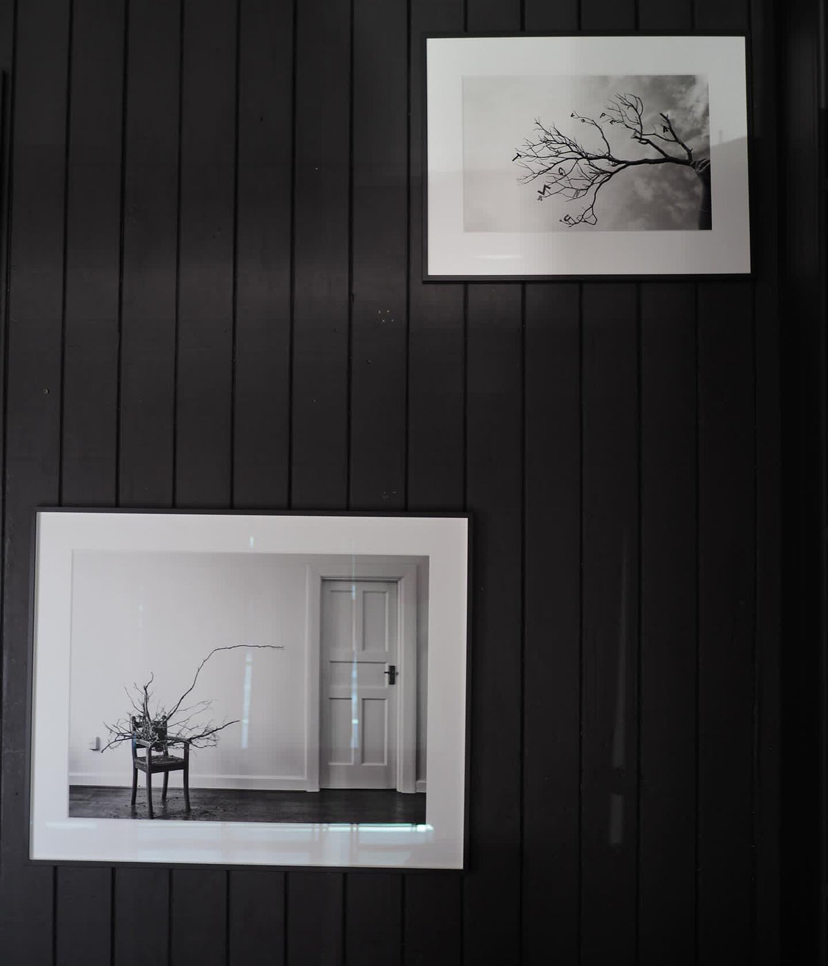 Deborah Smith - What the Trees Said - Gallery Image
