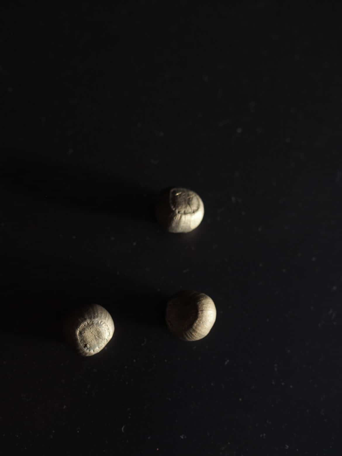 Acorns - Bronze