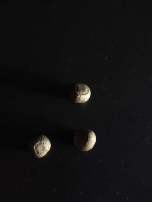 Acorns - Bronze
