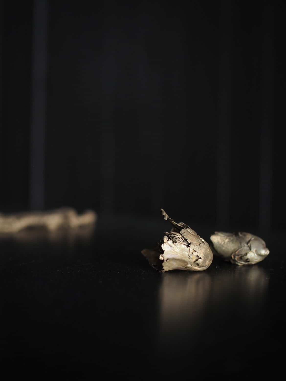 Tsubaki - Bronze (set of two)