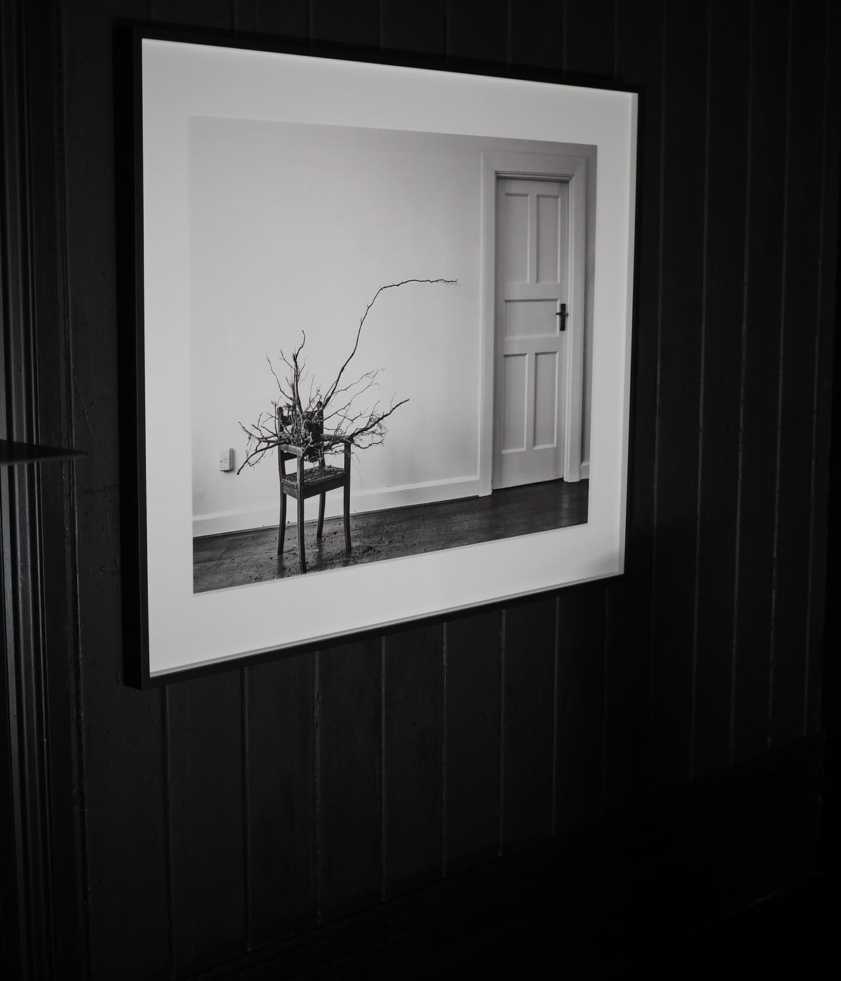 Deborah Smith - What the Trees Said - Gallery Image