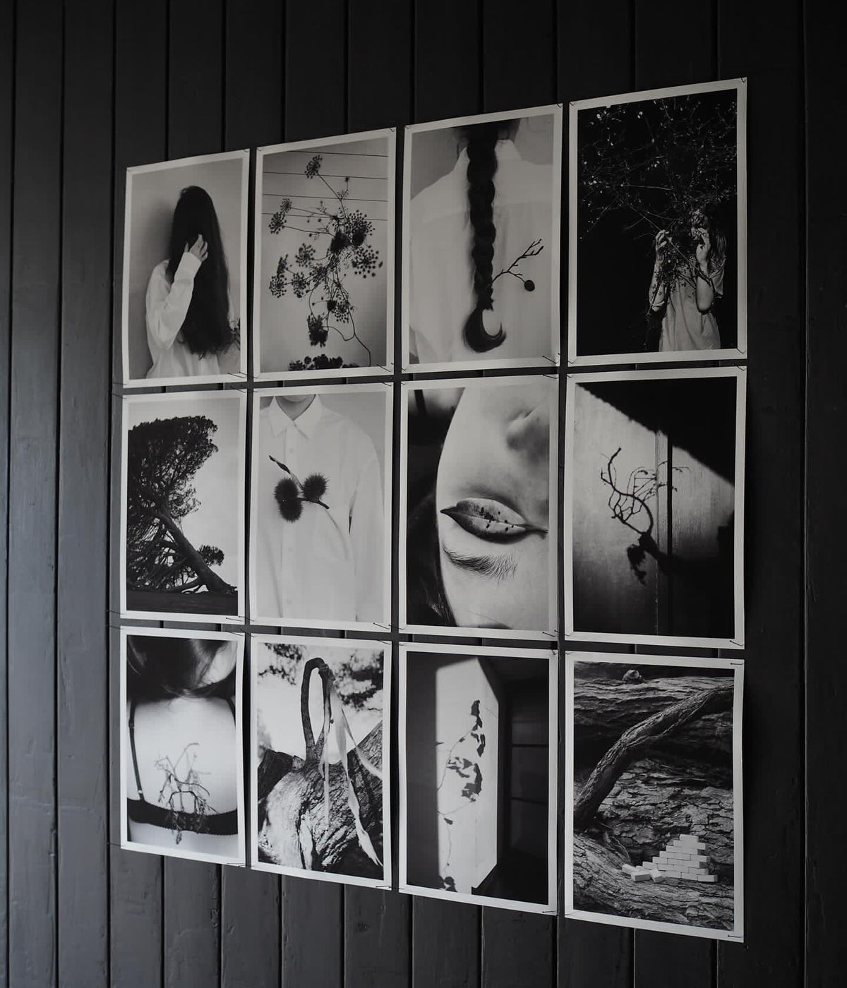 Deborah Smith - What the Trees Said - Gallery Image