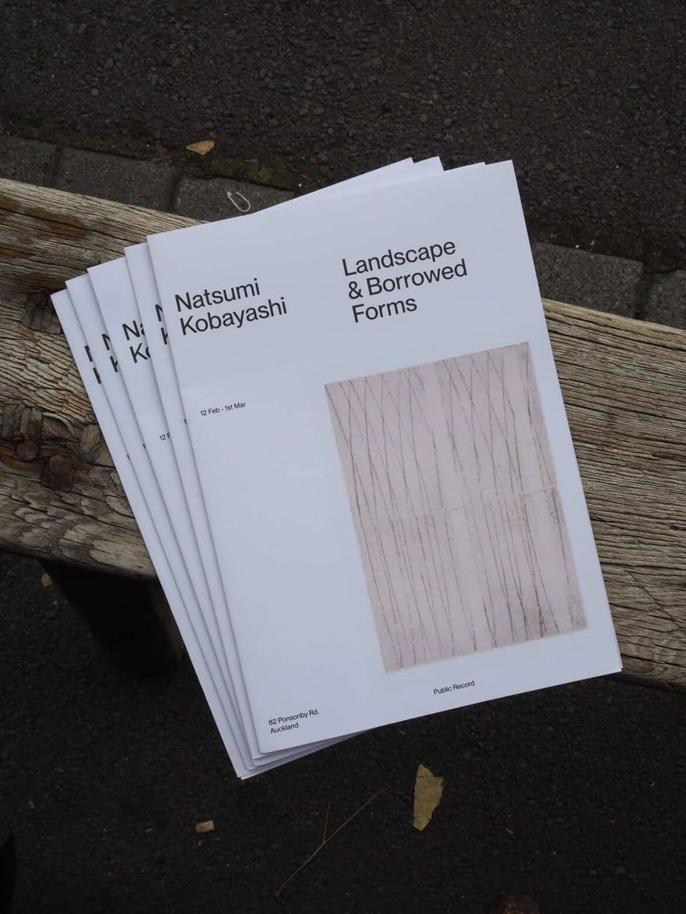 Natsumi Kobayashi - 'Landscape & Borrowed Forms' - Gallery Image