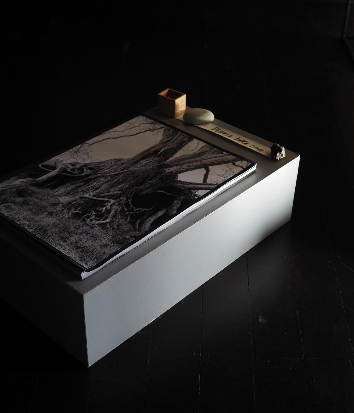 Deborah Smith - What the Trees Said - Gallery Image