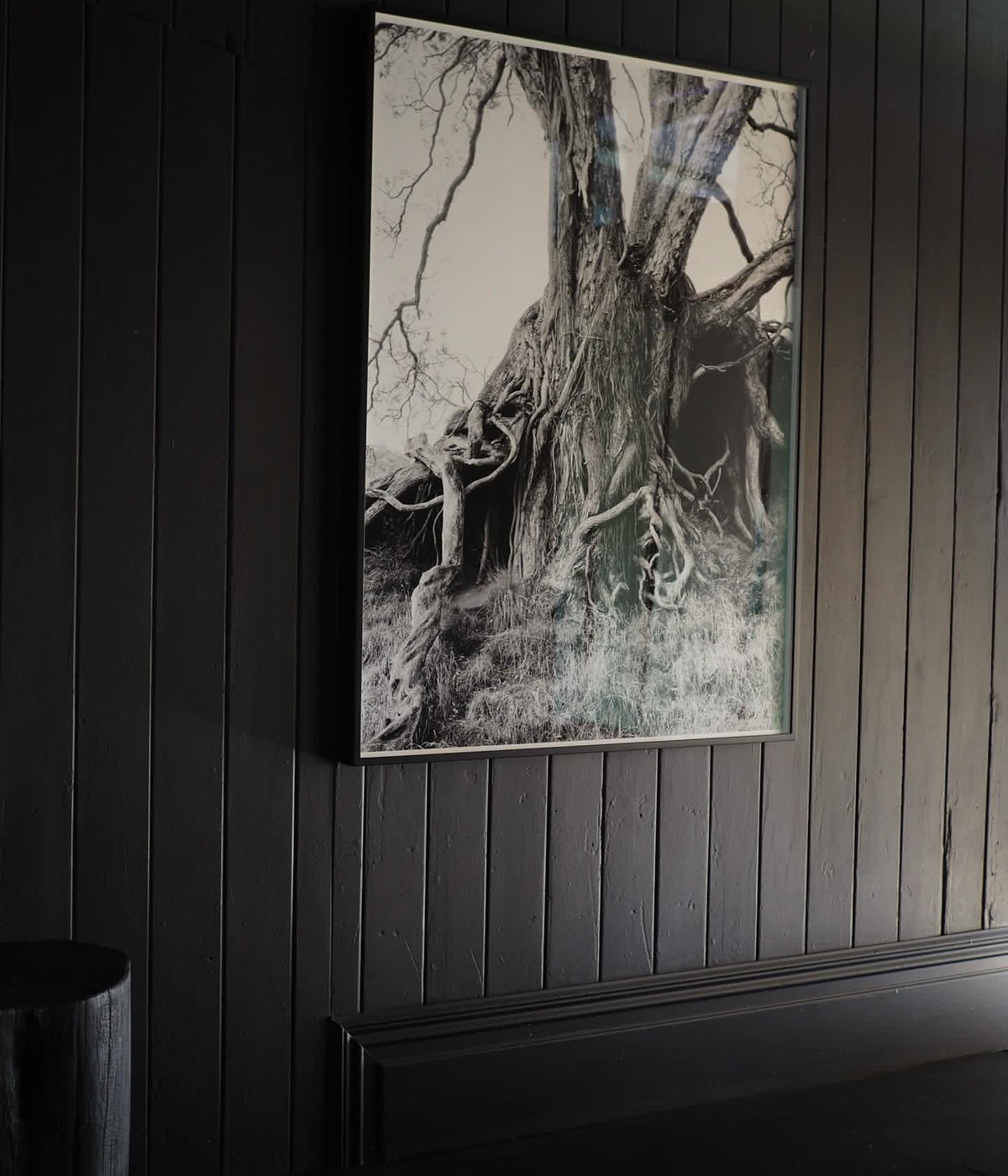 Deborah Smith - What the Trees Said - Gallery Image