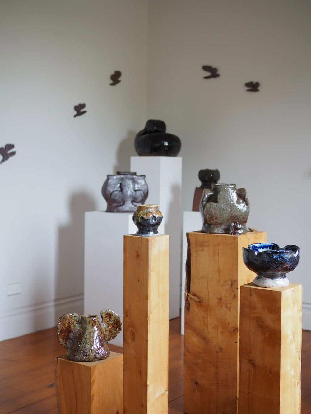 Alex Jones - The Bush in My Head - Gallery Image