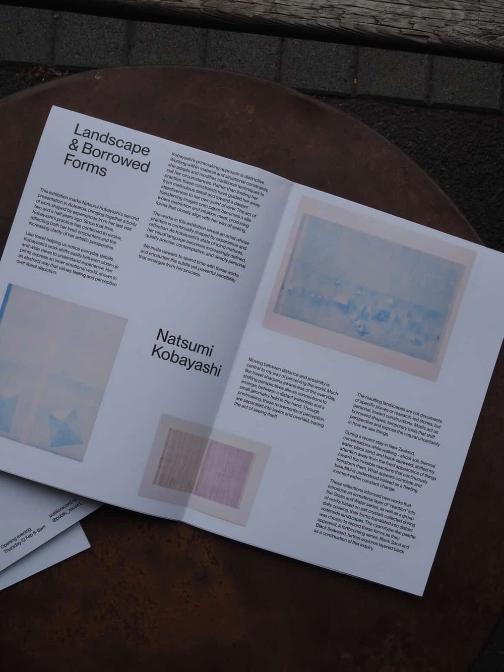 Natsumi Kobayashi - 'Landscape & Borrowed Forms' - Gallery Image