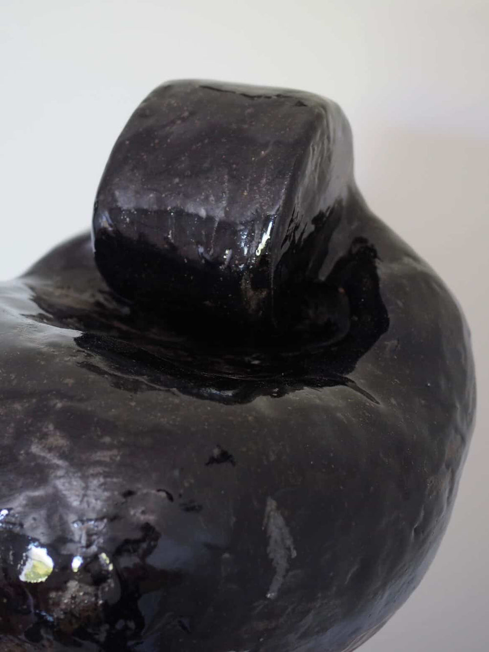 Alex Jones - The Bush in My Head - Gallery Image