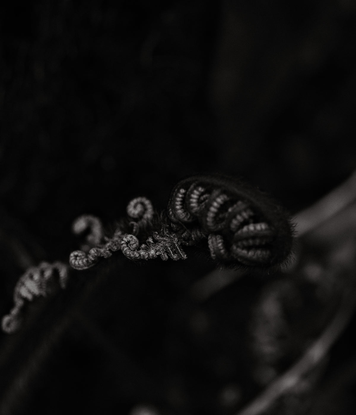 Camille Paloma Walton & Michelle Walton - Mar 26' - Gallery Image