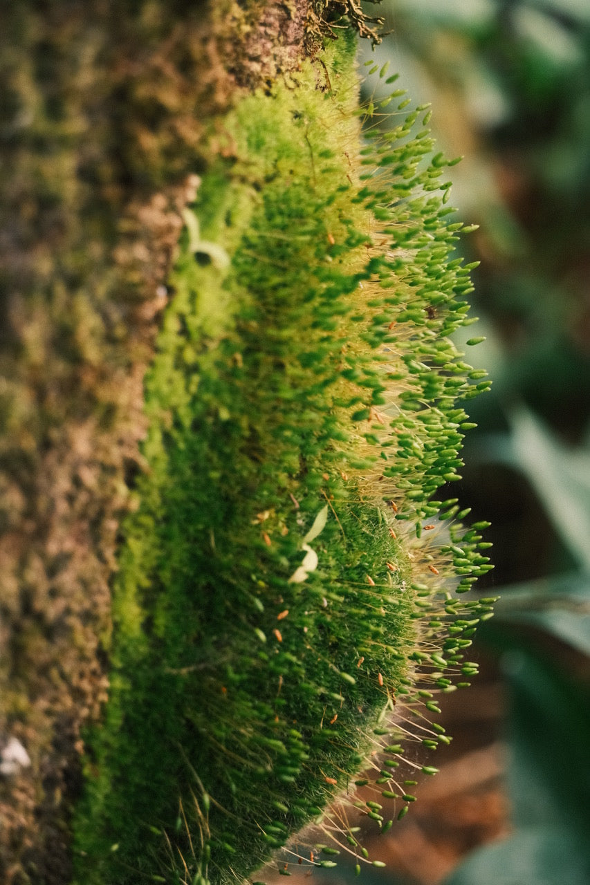 Camille Paloma Walton & Michelle Walton - Mar 26' - Gallery Image