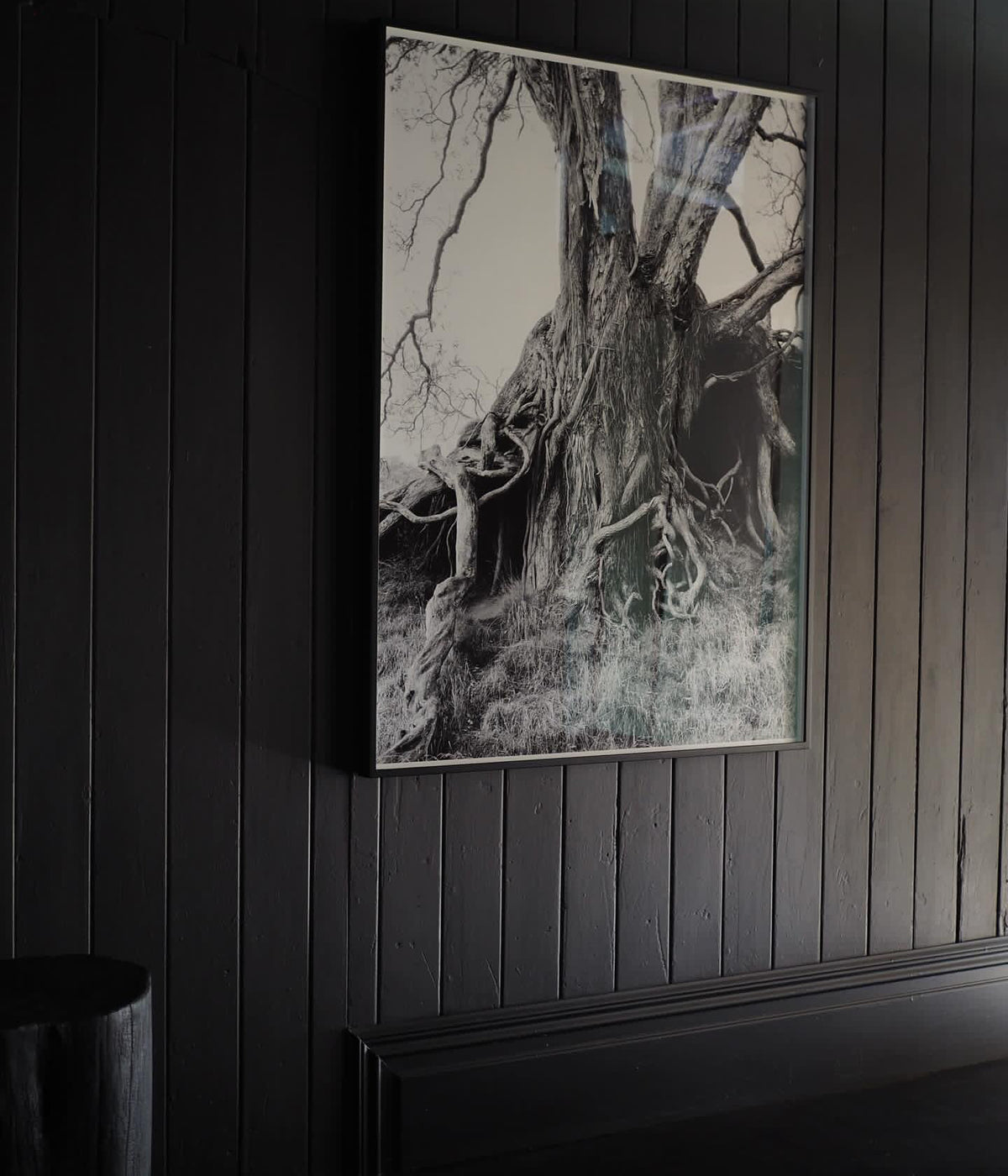 Deborah Smith - What the Trees Said - Gallery Image