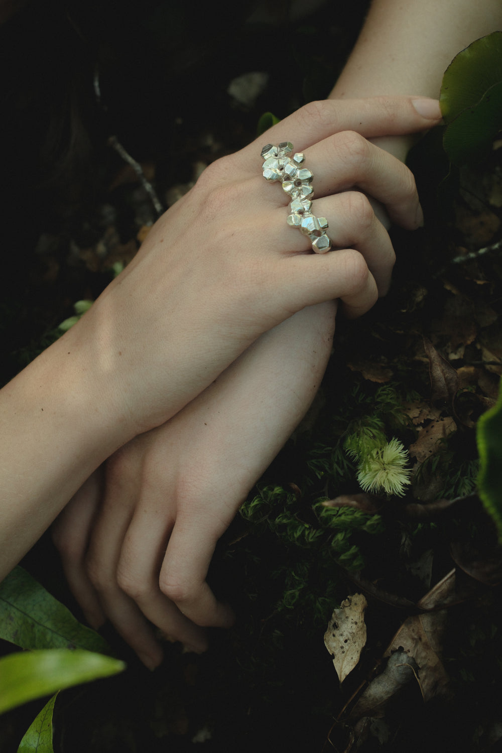 In The Hills by Camille Paloma Walton & Michelle Walton - Gallery Image