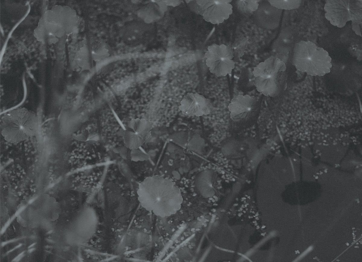 Camille Paloma Walton & Michelle Walton - Mar 26' - Gallery Image