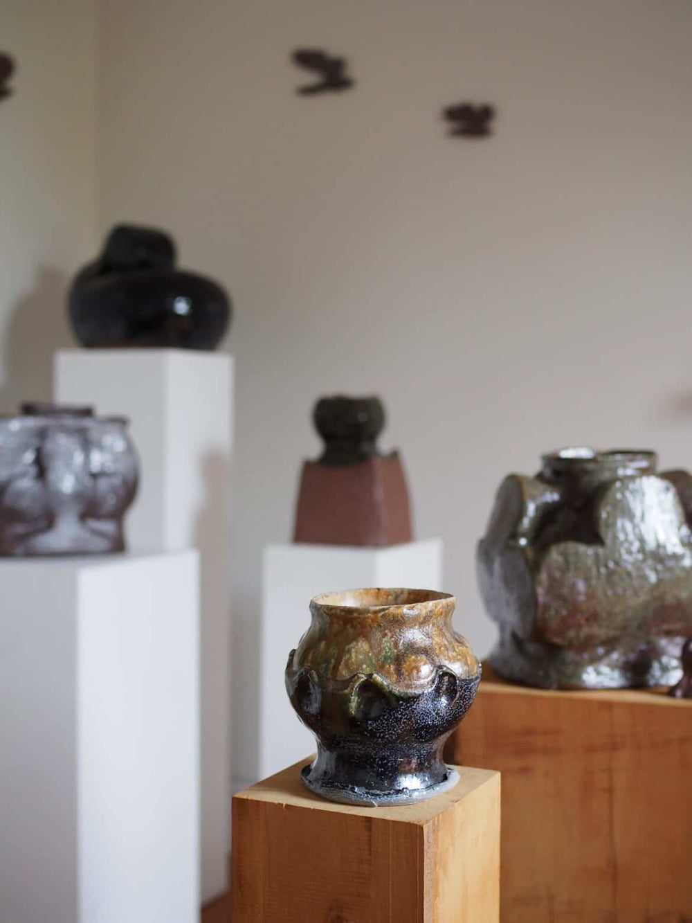 Alex Jones - The Bush in My Head - Gallery Image