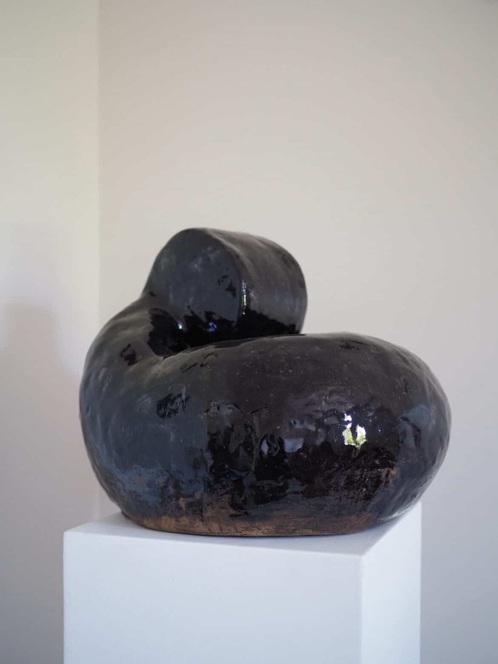 Alex Jones - The Bush in My Head - Gallery Image