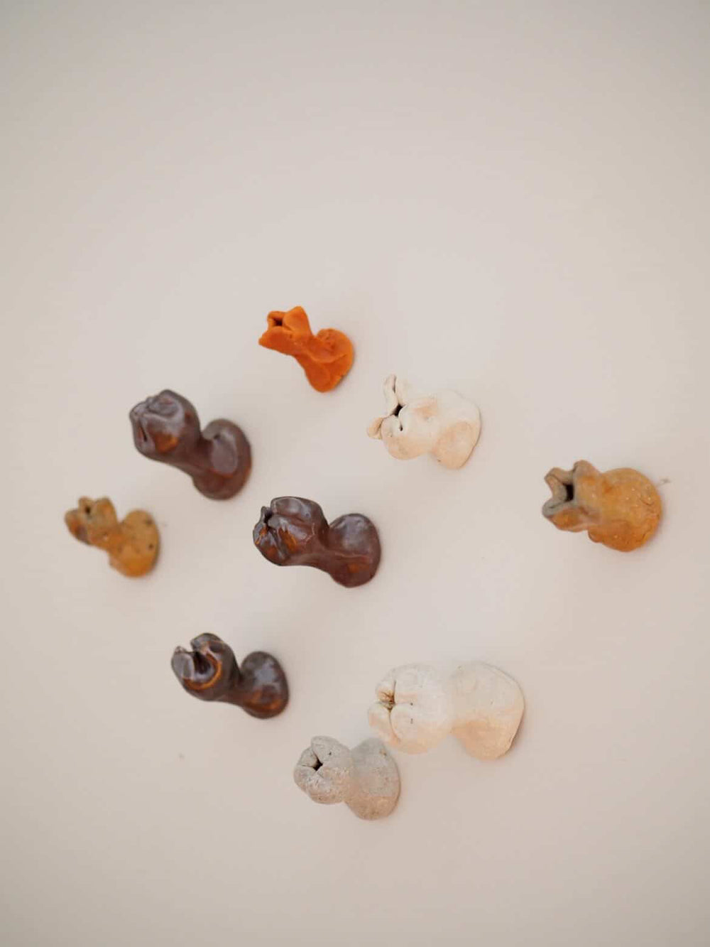 Alex Jones - The Bush in My Head - Gallery Image