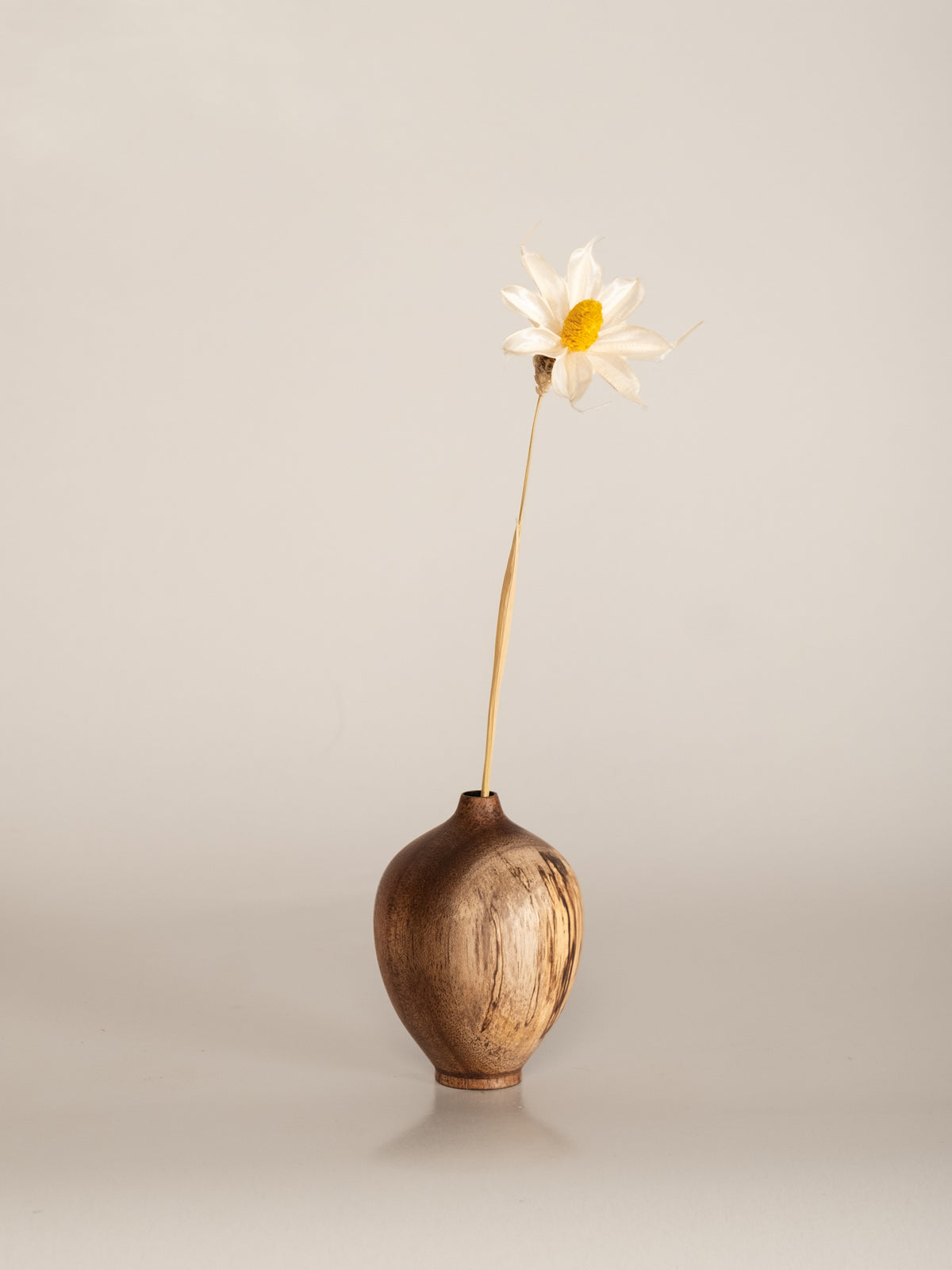Bud vase (pod), Dry V1