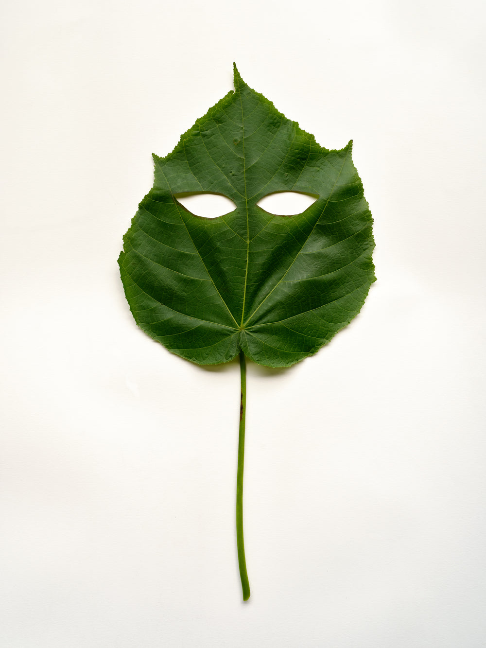 Bronwynne Cornish & Deborah Smith  -   The Departure Lounge & Conversation with Stones - Gallery Image