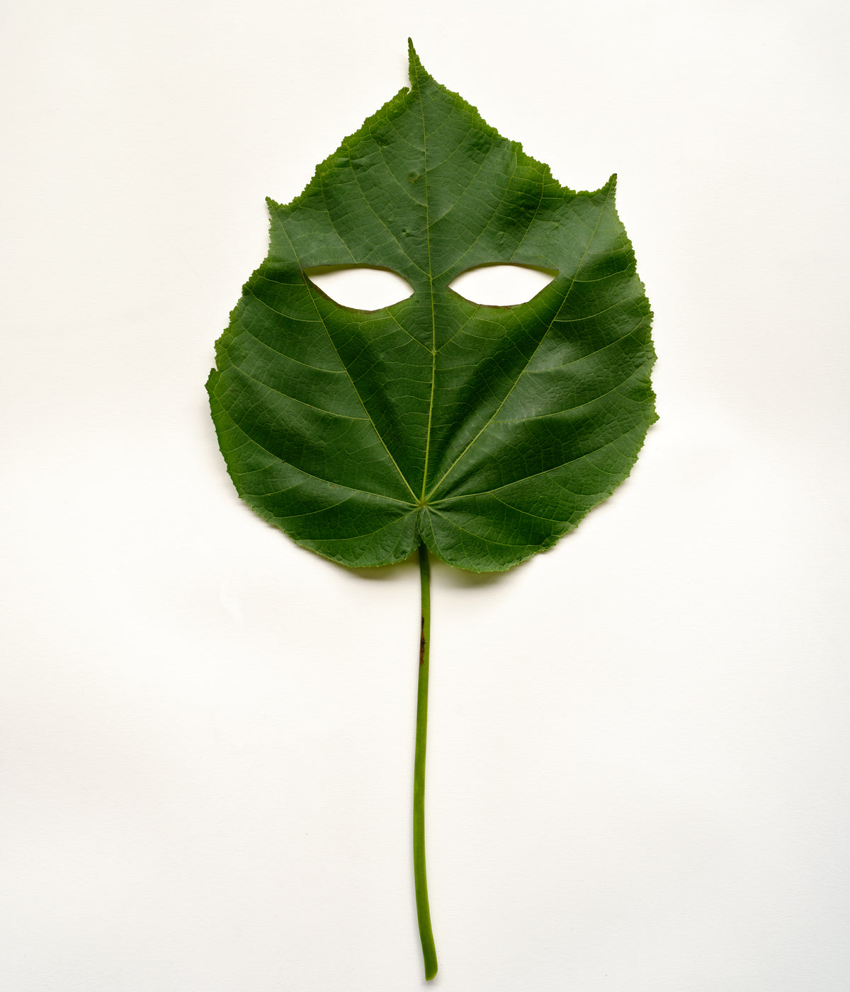 Deborah Smith - Dec 25' - Gallery Image