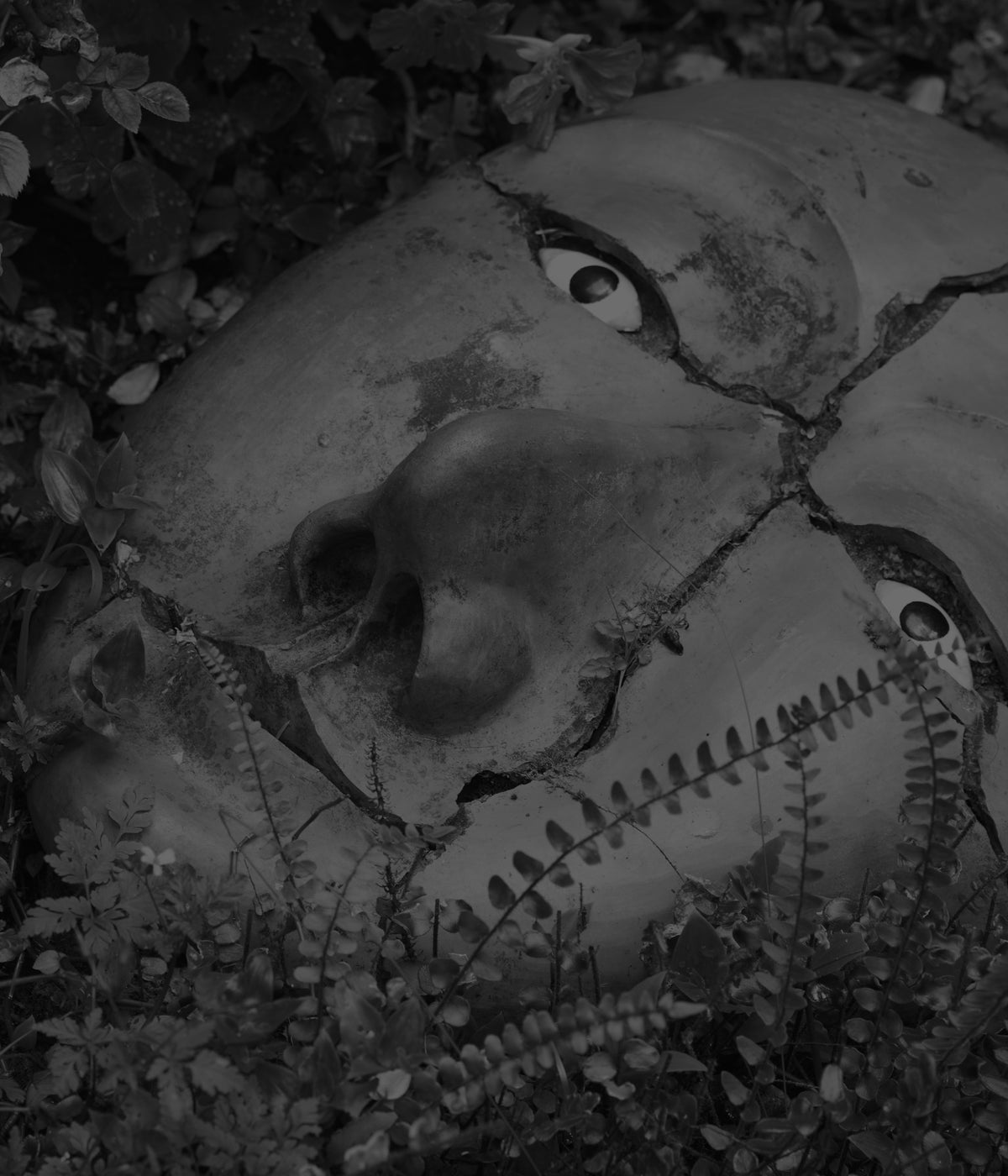 Deborah Smith - Dec 25' - Gallery Image