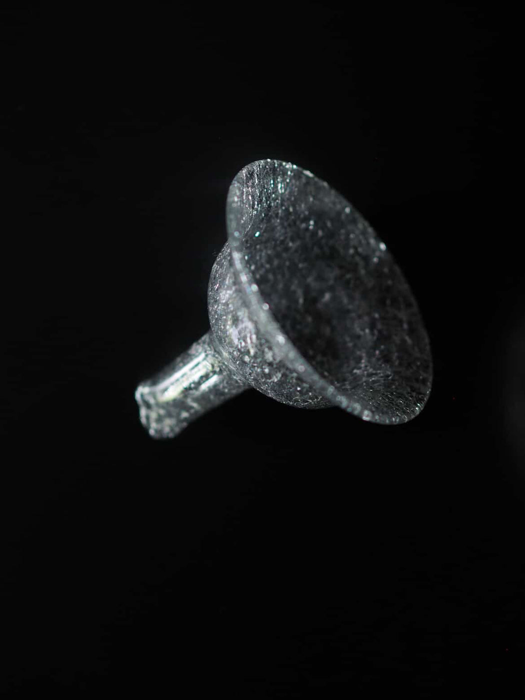 Kenichi Sasakawa - Nov 25' - Gallery Image