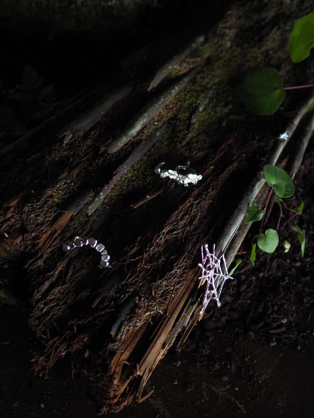 In The Hills by Camille Paloma Walton & Michelle Walton - Gallery Image