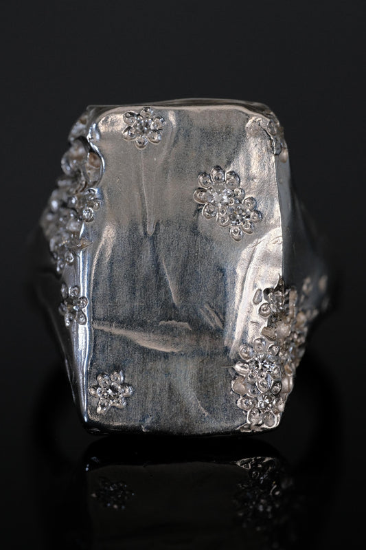 Eroded Ring, ver3