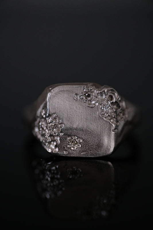 Eroded Ring, ver2