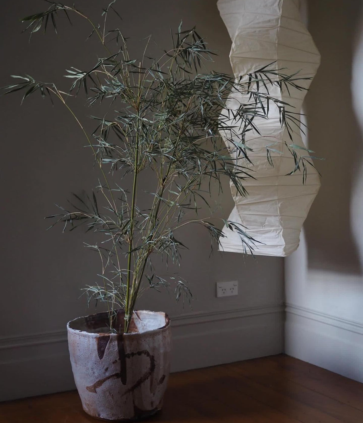 Elena Renker - Balancing Act - Gallery Image