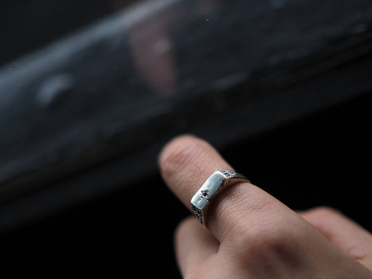 Shiny Objects - Ring 19