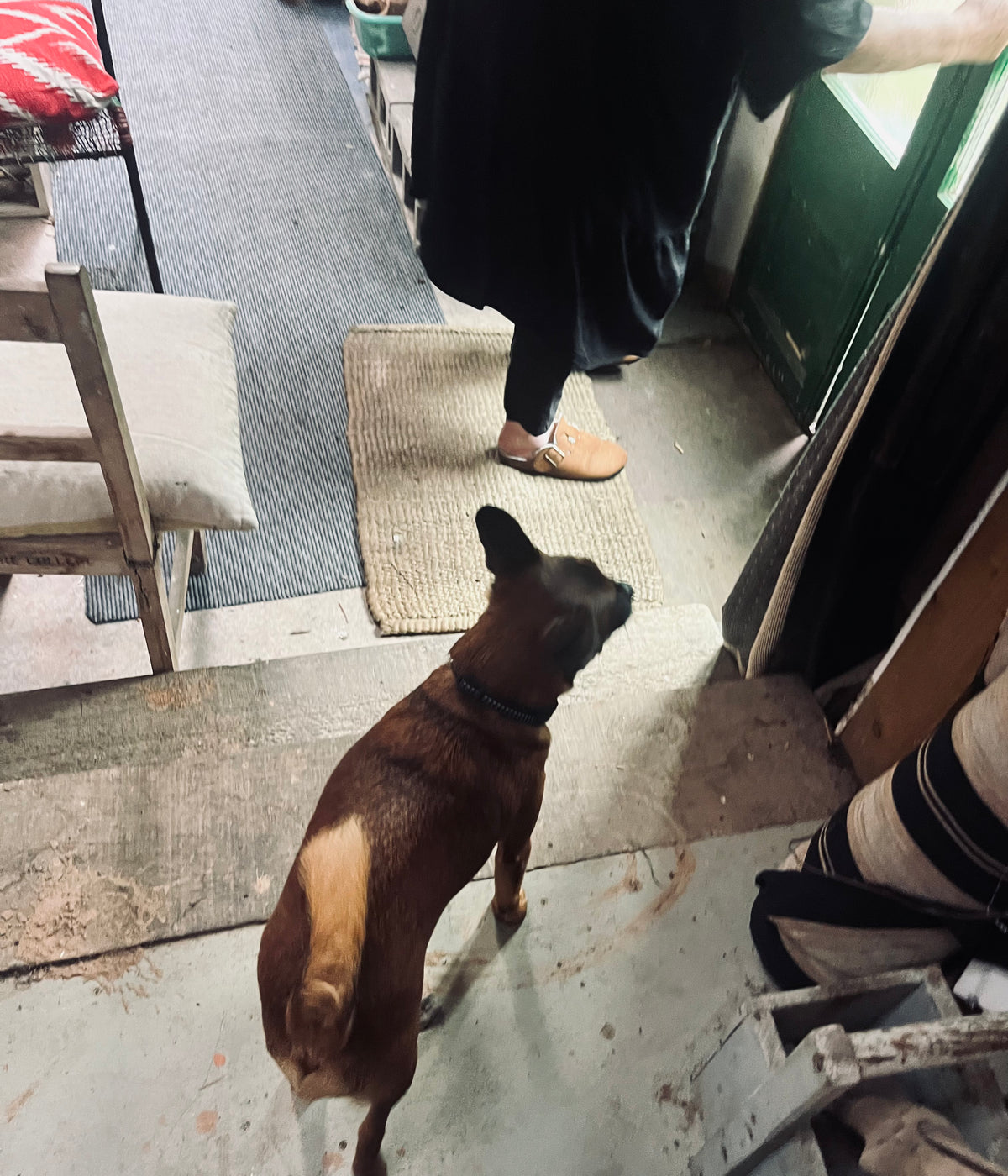 Bronwynne Cornish - Dec 25' - Gallery Image