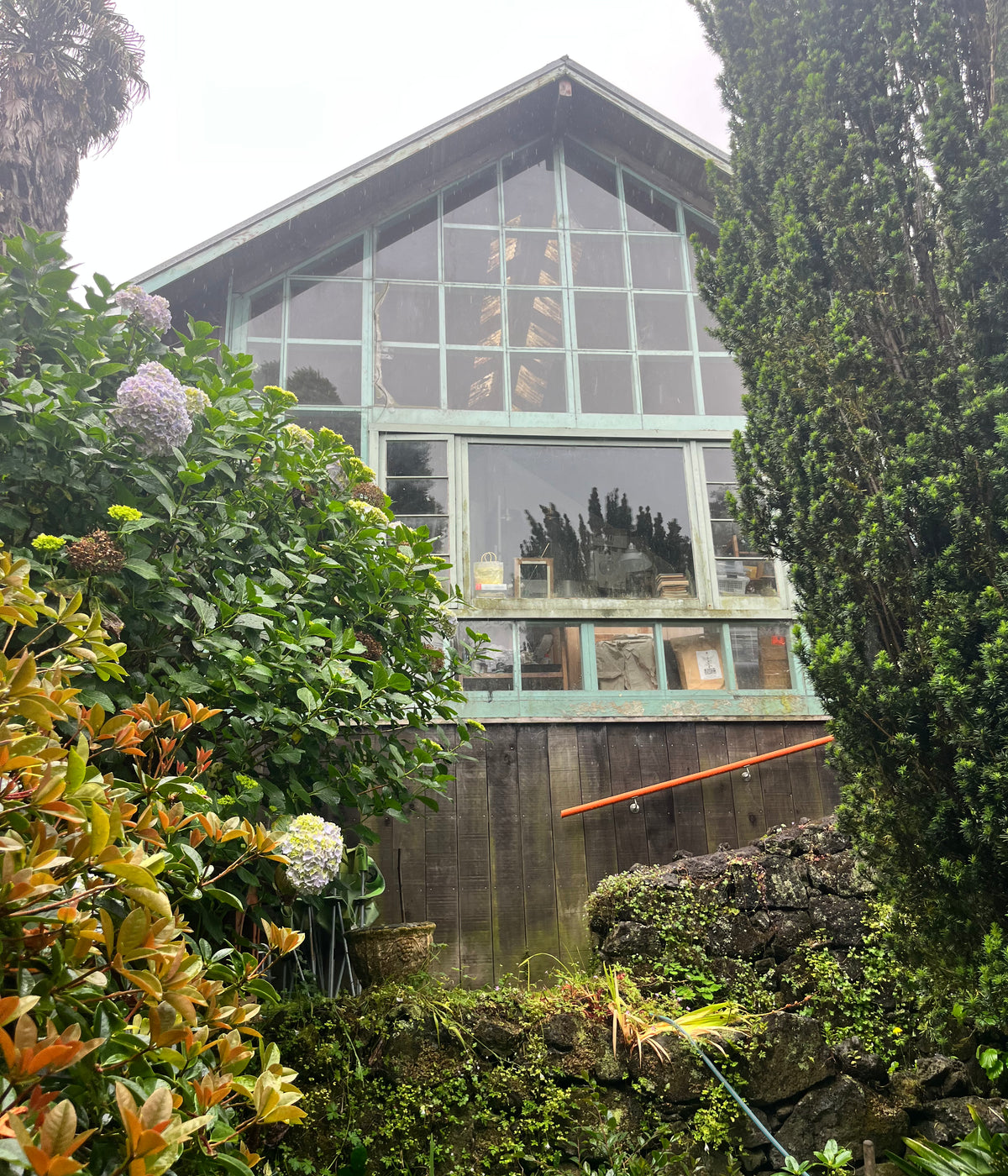 Bronwynne Cornish - Dec 25' - Gallery Image