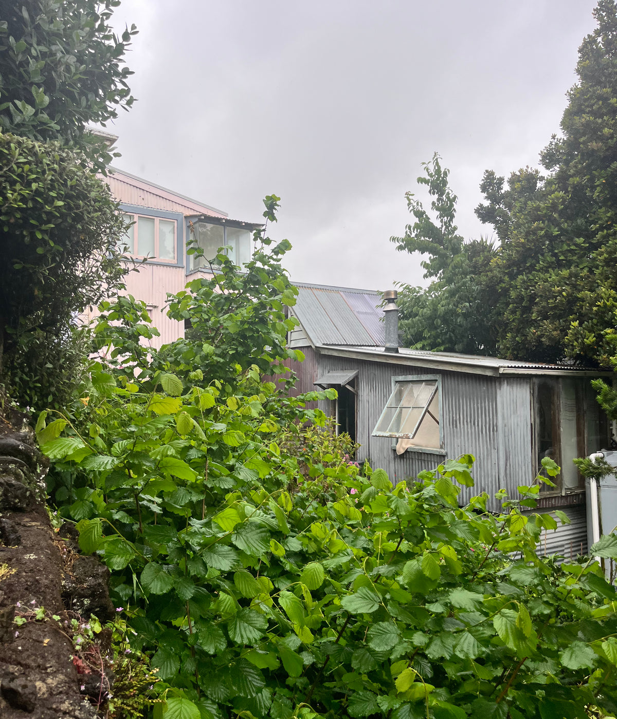 Bronwynne Cornish - Dec 25' - Gallery Image