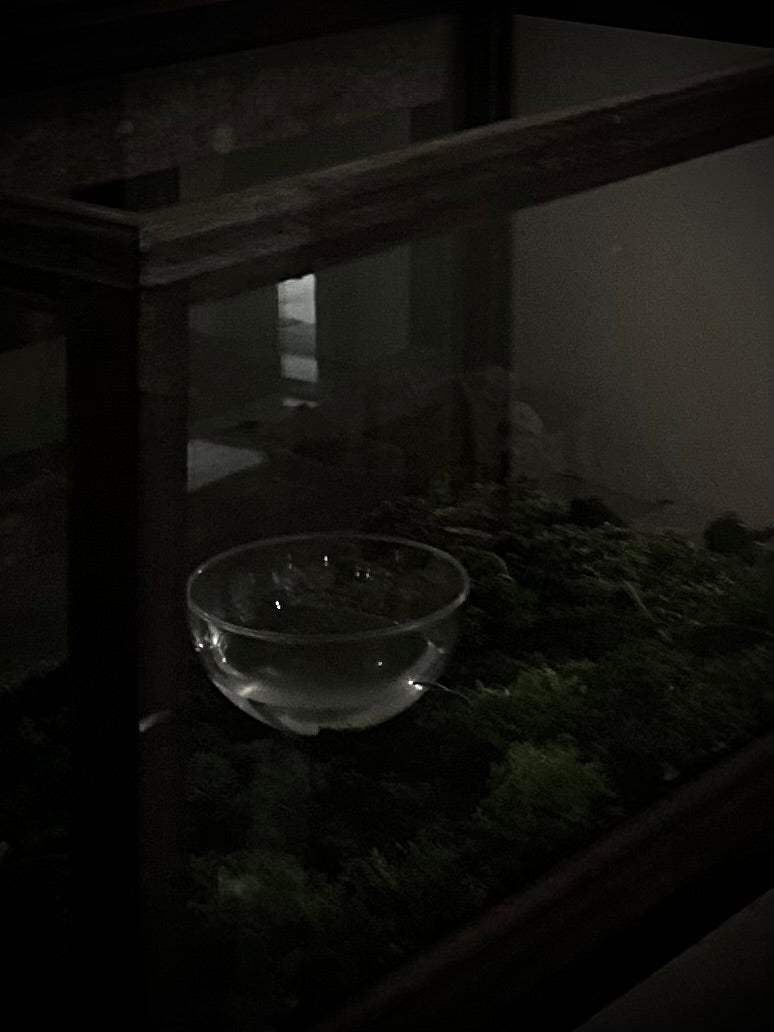 Handcrafting Incense, ceremonial experience around tea and fragrance by Japanese perfumer SARI - Gallery Image