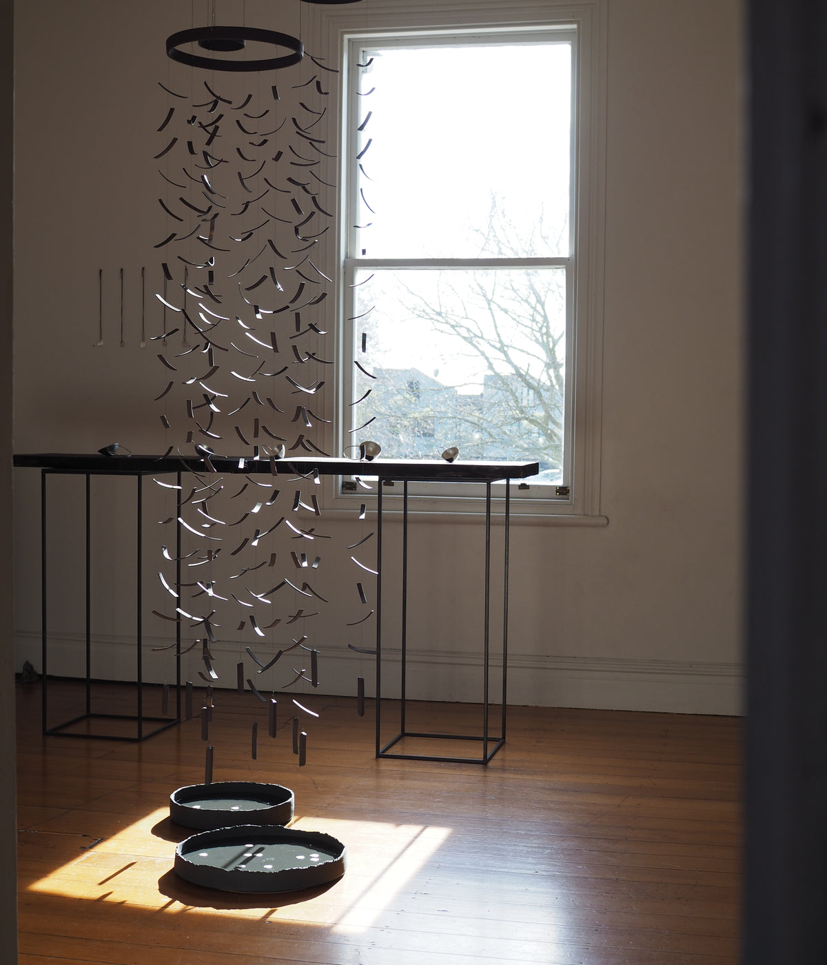 Fiona Mackay - Gallery Image
